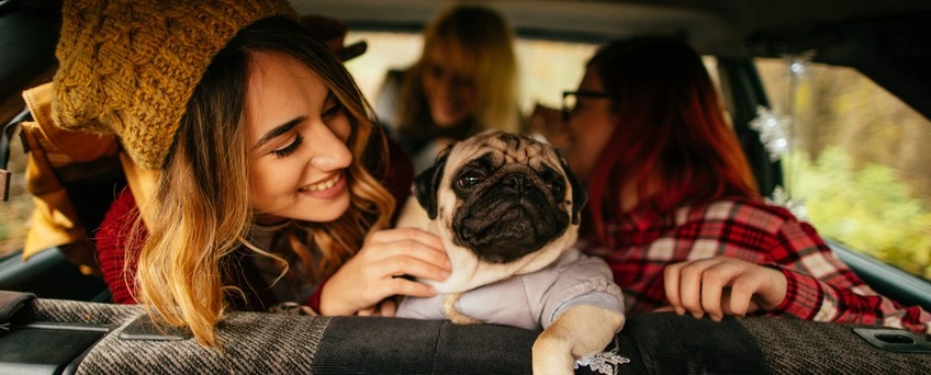 47% of Pet Owners Have Been in Debt for Their Pet