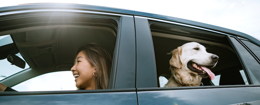 Woman driving a car with her dog in the back seat.