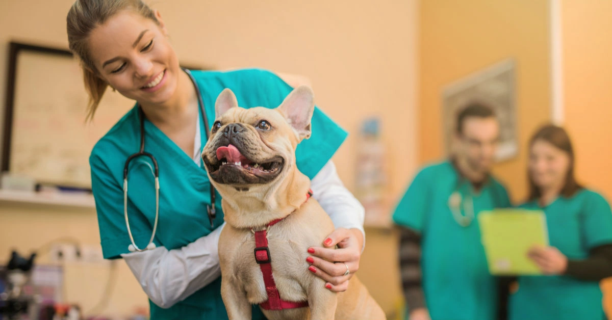 Best Loans for Veterinarians