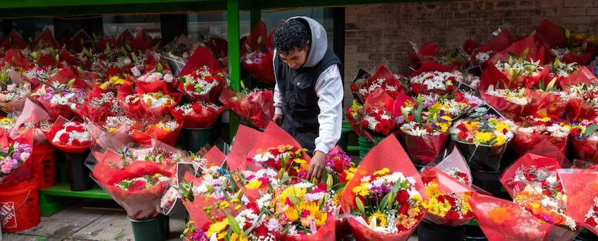 Lovebirds Plan to Spend $179 This Valentine’s Day