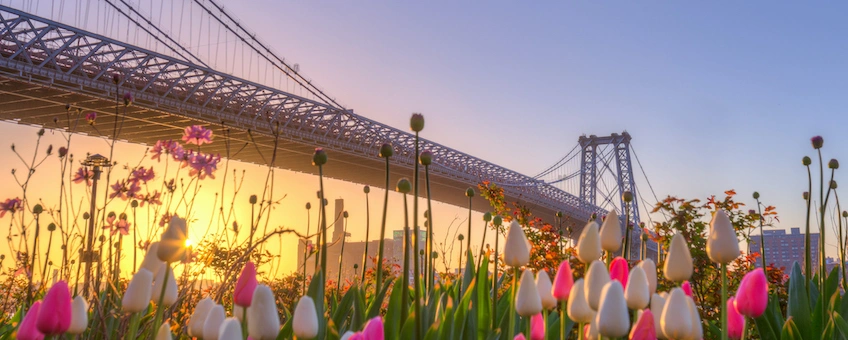 Some Spring Travelers Will Bring Home Debt as Souvenir