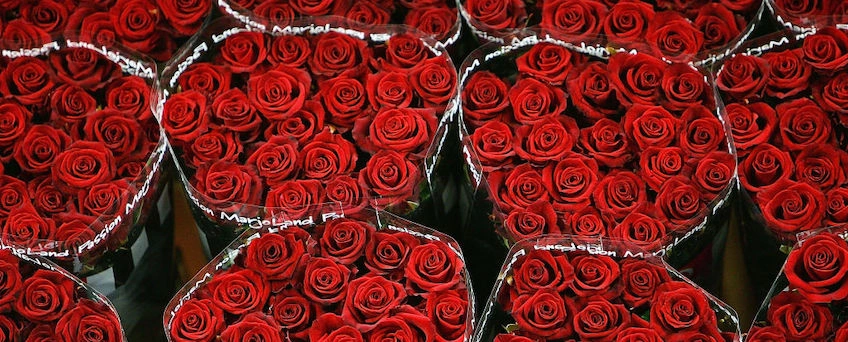 52% of Americans Would Skip Valentine’s Day